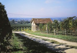 Cabane de vigneron - JPEG - 106.8 ko - 1024×704 px