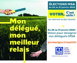 Elections MSA 2020 - JPEG (965.6 ko)