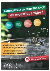 Affiche "Participez à la surveillance du moustique tigre" - JPEG (479.1 ko)